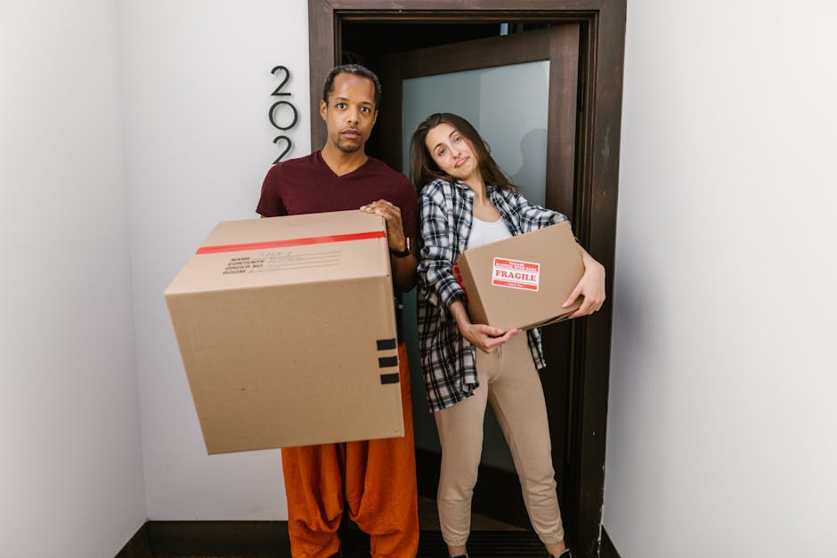 Two professional movers from Haringey Man With Van are inside a bright, spacious room with large arched windows allowing natural daylight to illuminate the space. One mover, with dark curly hair and a